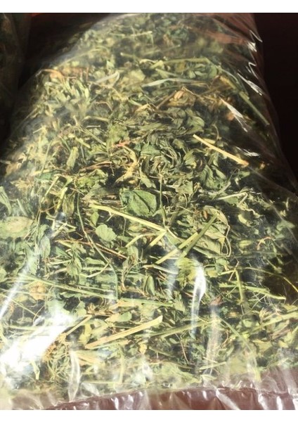 Kemirgenler Için Kuru Yonca Otu 2 Kg.