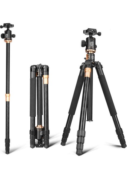 ARCURY TP03 Tripod