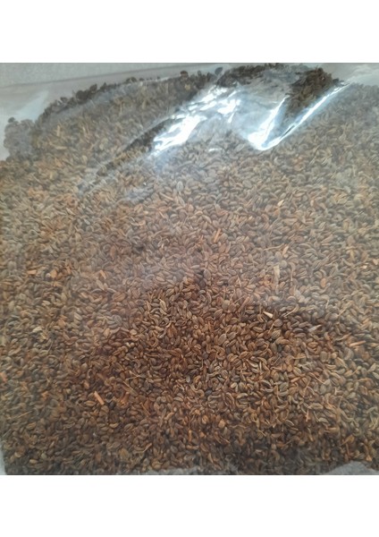 Yılmaz Şifalı Bitkiler ve Baharat Ürünü Maydanoz 250 Gram Dökme Yerli Tohumdur