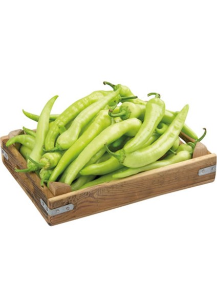 Saksılık Tatlı Çarliston Biber Tohumu Ekim Seti fiyatları