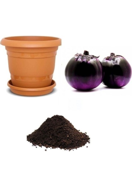 Ithal Elma Patlıcanı Tohumu Ekim Seti