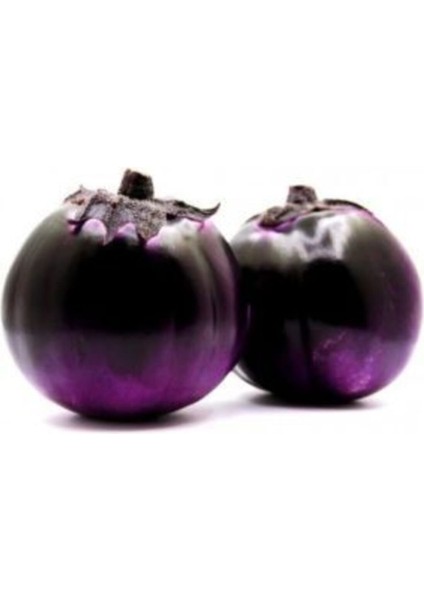 Ithal Elma Patlıcanı Tohumu Ekim Seti fiyatları