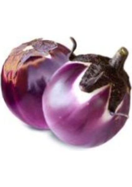 Ithal Elma Patlıcanı Tohumu Ekim Seti modelleri