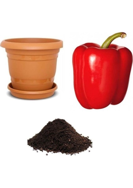 Nadir Dev Kırmızı Dolmalık Biber Tohumu Ekim Seti