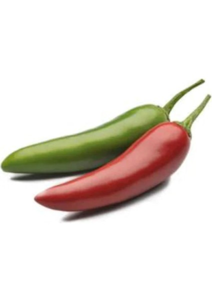 Paket 100 Adet Tohum Ithal Çok Acı Jalapeno Meksika Biberi Tohumu
