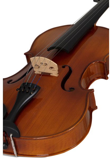 BVA1100 4/4 Viola