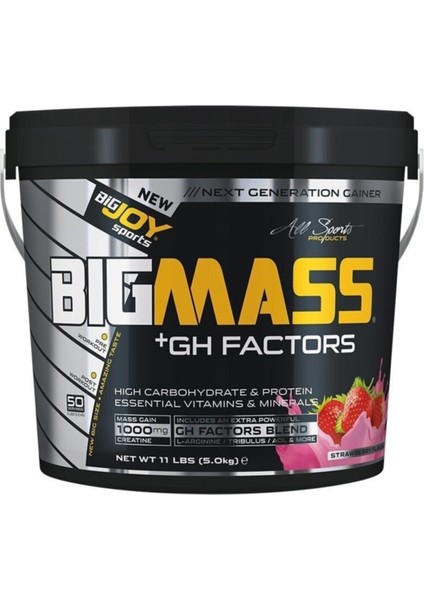 Bigjoy Big Mass +Gh Factors 5000 gr Gainer Çikolata fiyatları