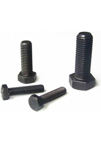 M5 x 16 DIN933 Cıvata(Altıgen) 8.8 Beyaz 5 Li Paket