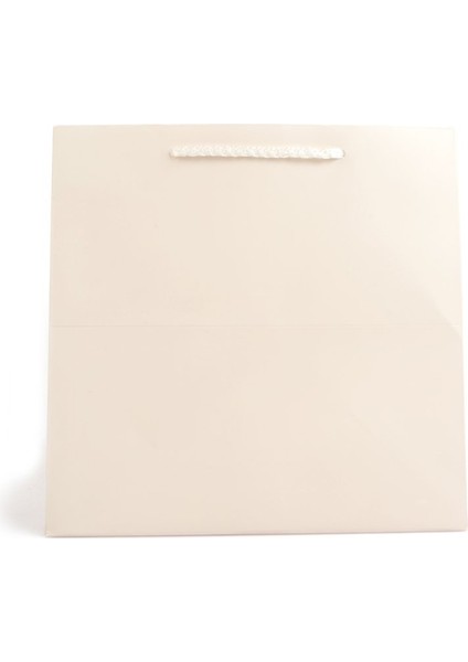 Pasta Çantası 24X24X24(12'LI)