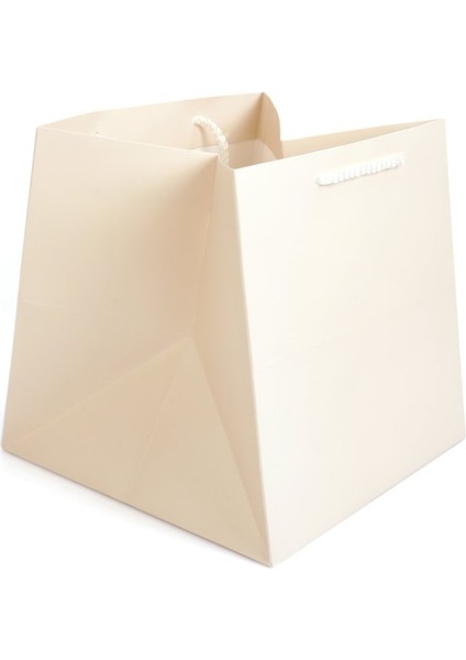 Pasta Çantası 24X24X24(12'LI) fiyatları