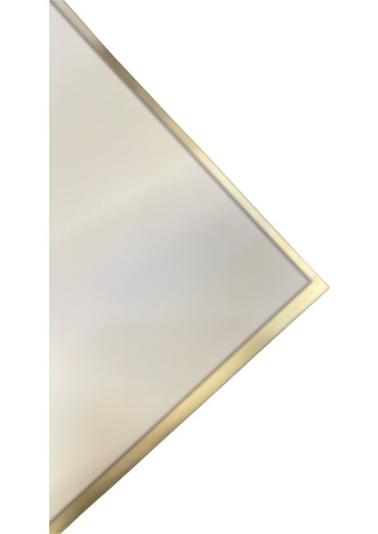 Çiçek Ambalaj Jelatini (20'li) 60CMX60CM