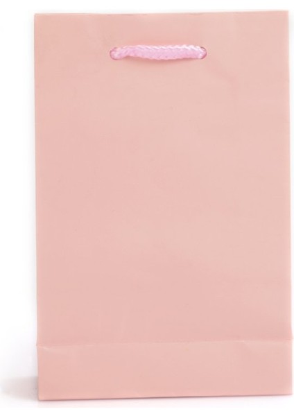 Kağıt Ip Saplı Çanta Pembe 18X10X23 Ithal(12'li)