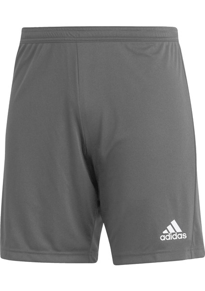 ENT22 Sho Erkek Futbol Maç Şortu H57505 Gri