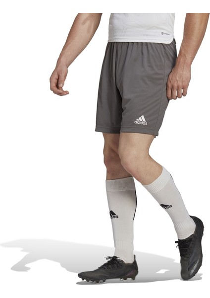 ENT22 Sho Erkek Futbol Maç Şortu H57505 Gri