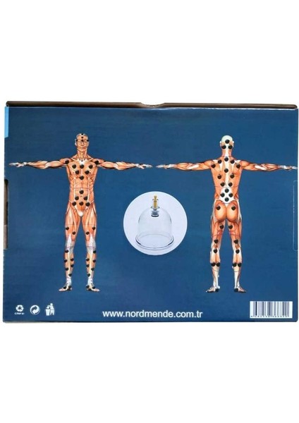 12 Li Masaj Kupası fiyatları