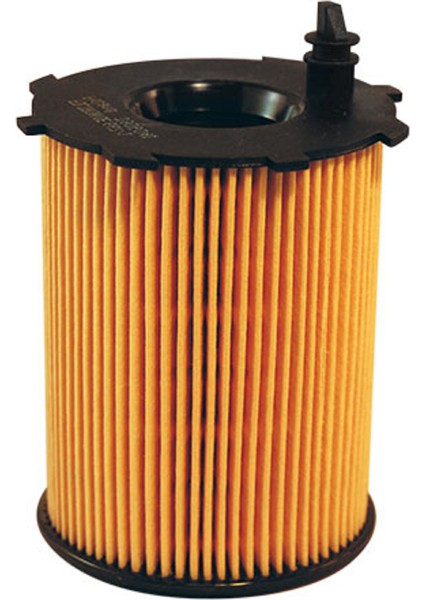 Opel Combo E 1.6 Dizel Motor Yağ Filtresi Filtron Marka FLT.OE667/1-2