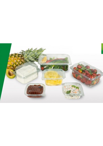 Plastik Sızdırmaz Gıda Kabı 100'LÜ 250 gr Düz Kapak fiyatları
