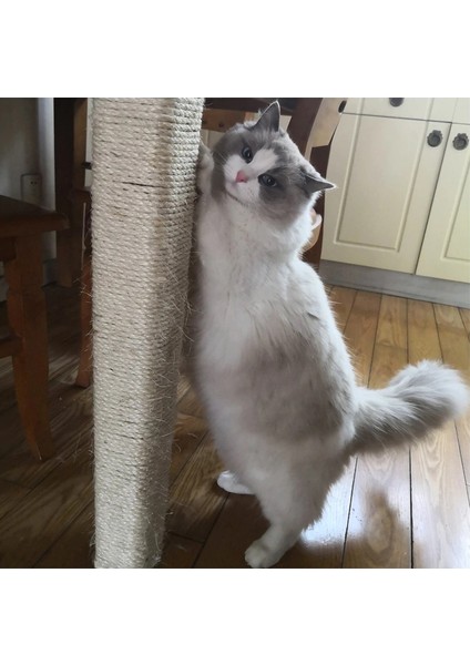 Kedi Tırmalama Ipi 4 Mm X 15 Metre modelleri