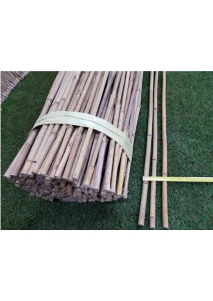 4'Lü Bambu Bitki Destek Çubuğu 150 Cm fiyatları