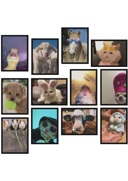 Funny Animal 12 Parça Mdf TABLOZLLTB325