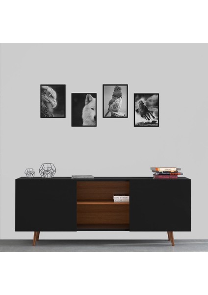 Siyah Beyaz Hayvanlar 4 Parça Mdf TABLOSLA350 fiyatları