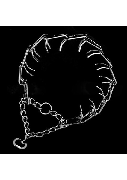 Ayarlanabilir Pet Köpek Metal Pinch Eğitim Zinciri (Yurt Dışından) modelleri