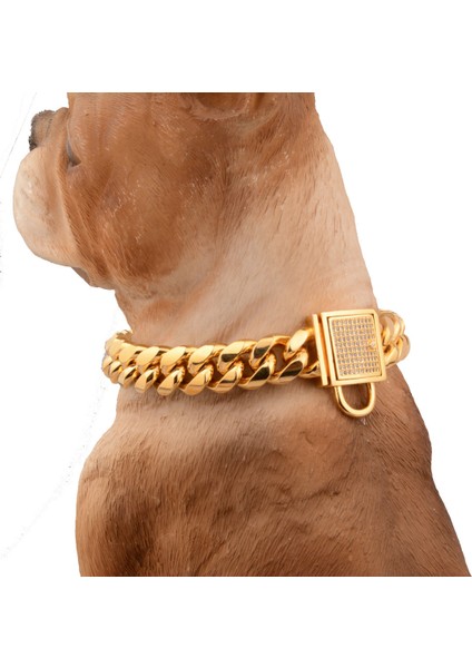 Altın Köpek Zincir Kaplama Yaka Kalın Köpek Yaka Pitbull Curb Küba Pet Bağlantı Paslanmaz Çelik (30 * 1.4 Cm) (Yurt Dışından) fırsatları