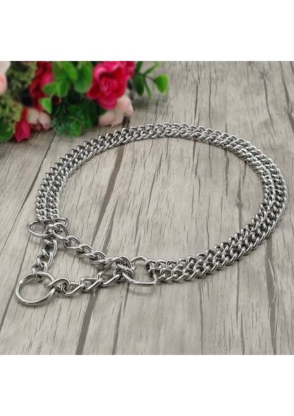 Köpek Eğitim Zinciri Pet Chooke Yaka Çift Sıralı Metal Zincir Paslanmaz Çelik Slip Yaka Büyük Köpekler Pitbull | Yaka (Gümüş) (Yurt Dışından) modelleri