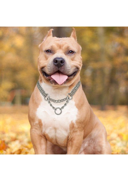 Köpek Eğitim Zinciri Pet Chooke Yaka Çift Sıralı Metal Zincir Paslanmaz Çelik Slip Yaka Büyük Köpekler Pitbull | Yaka (Gümüş) (Yurt Dışından) fırsatları