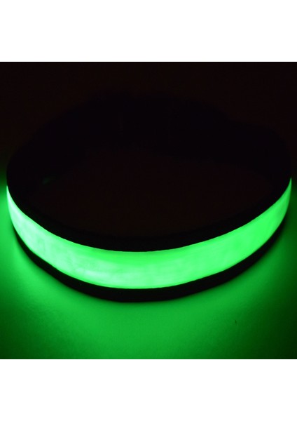 Süper Parlak Usb Şarj Edilebilir Led Köpek Güvenliği Yaka - Büyük Görünürlük Ve Geliştirilmiş Güvenlik - 4 Renk, 3 Boyut (Yeşil, Büyük) (Yurt Dışından) modelleri