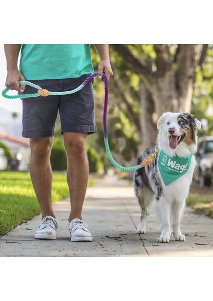 Yumuşak Köpek Pet Tasma Halat Naylon Küçük Orta Büyük Köpekler Tasmalar Uzun Ağır Köpekler Için Yürüyüş Yürüyüş Kurşun Halklar | Tasmalar | Tasmalar (Yurt Dışından)