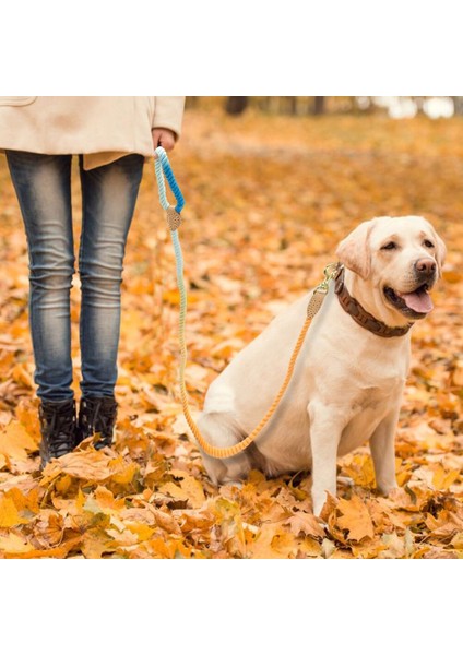 Yumuşak Köpek Pet Tasma Halat Naylon Küçük Orta Büyük Köpekler Tasmalar Uzun Ağır Köpekler Için Yürüyüş Yürüyüş Kurşun Halklar | Tasmalar | Tasmalar (Yurt Dışından)
