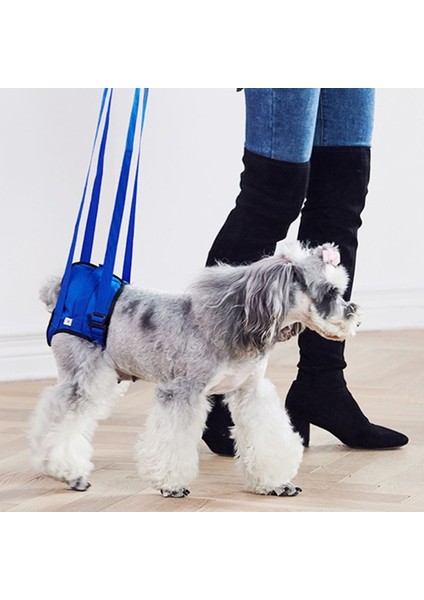 Köpek Yardım Yardımcısı Aracı Geri Bacak Pet Destek Sling Tasma Için Ayarlanabilir Kaldırma Koşum | Tasmalar | (Yurt Dışından) fırsatları