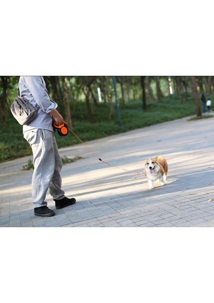 3 M Geri Çekilebilir Köpek Tasma Yansıtıcı Bant Köpek Tasmalar Naylon Uzatma Yavru Yürüyüş Koşu Köpekler Traksiyon Halatı Yol Açar | Tasmalar (Yurt Dışından)