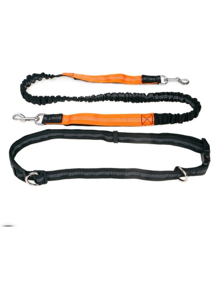 El Ücretsiz Geri Çekilebilir Köpek Tasma Golden Retriever Bull Terrier Husky Pug Mascotas Accesorios Esnek Martingale Laisse Chien | Tasmalar (Yurt Dışından)