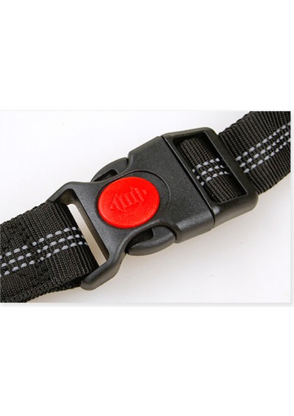 El Ücretsiz Geri Çekilebilir Köpek Tasma Golden Retriever Bull Terrier Husky Pug Mascotas Accesorios Esnek Martingale Laisse Chien | Tasmalar (Yurt Dışından) fırsatları