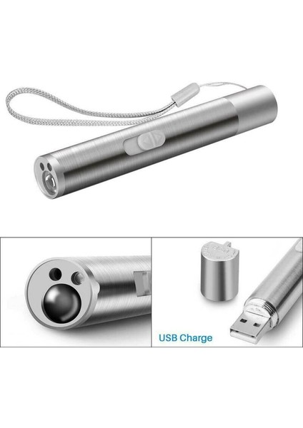 3 1 Şarj Edilebilir Kedi Lazer Pointer Oyuncak Usb Güç Kedi Eğitim Torch Uv Işıkları (Yurt Dışından)