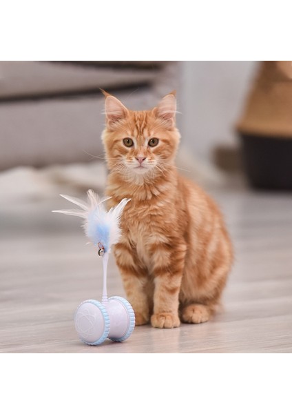 Akıllı Interaktif Pet Köpek Kedi Oyuncak Led Işık Usb Şarj Glow Tumbler Pet 360 Derece Kendinden Dönen Top Oyuncak Pet Kedi Malzemeleri Için | Kedi Oyuncakları (Mavi) (Yurt Dışından)