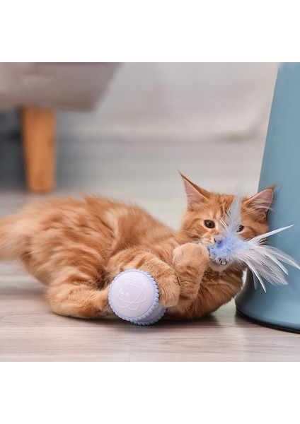 Akıllı Interaktif Pet Köpek Kedi Oyuncak Led Işık Usb Şarj Glow Tumbler Pet 360 Derece Kendinden Dönen Top Oyuncak Pet Kedi Malzemeleri Için | Kedi Oyuncakları (Mavi) (Yurt Dışından)