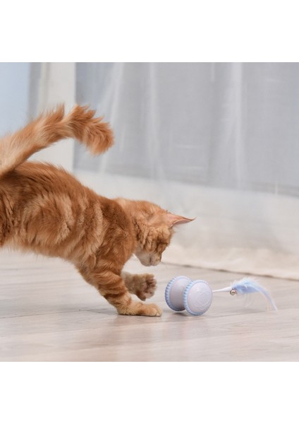 Akıllı Interaktif Pet Köpek Kedi Oyuncak Led Işık Usb Şarj Glow Tumbler Pet 360 Derece Kendinden Dönen Top Oyuncak Pet Kedi Malzemeleri Için | Kedi Oyuncakları (Mavi) (Yurt Dışından)