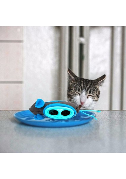 Yeni 4 Adet Kedi Gıda Oyuncaklar Köpek Pet Interactive Sızdırmazlık Dağıtıcı Topu Besleyici Fare Egzersiz Oynarken Eğitim Kase Kedi Oyuncaklar | Kedi Oyuncakları (Yurt Dışından) fırsatları