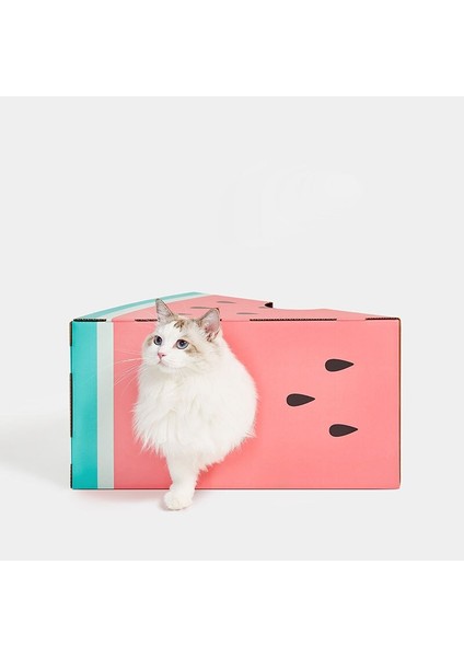 Pençe Kalemtıraş, Karton, Kedi Malzemeleri, Yonga Yok, Oluklu Kedi Çöp (Yurt Dışından)