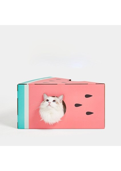 Pençe Kalemtıraş, Karton, Kedi Malzemeleri, Yonga Yok, Oluklu Kedi Çöp (Yurt Dışından)