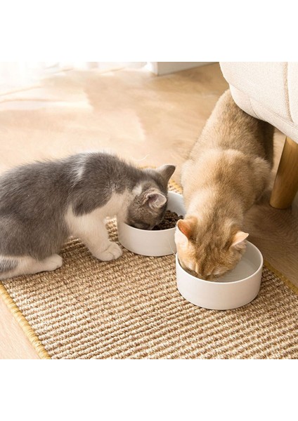 Sisal Yastık Anti-Scratch Kanepe Çizilmeye Karşı Korur Ve Kedi Malzemeleri Düşmez (Yurt Dışından)