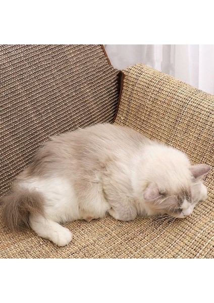 Kedi Pençe Taşlama Pedi, Kedi Malzemeleri, Küçük Kedi Oyuncaklar (Yurt Dışından) modelleri