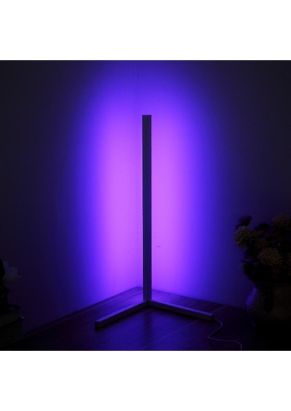 LED Zemin Lambası Ayakta Lambalar Modern Basit 5050 30 LED Ayakta Işıklar Modern Tarzı Demir Boyalı Zemin Lambası (Beyaz-Abd) (Yurt Dışından)