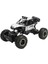 Hobi Sınıf 1:16 Ölçekli Rc Araba 2.4g Radyo Kontrol Rc Buggy Yüksek Hızlı Oyuncaklar Gümüş (Yurt Dışından) 1