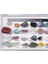 24X Kaya Mineral Koleksiyonu Set ve Koleksiyon Kutusu Çocuklar Için Bilim Eğitimi (Yurt Dışından) 2