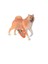 Soft Sevimli Köpekler Seri 2 1