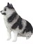 Soft Sevimli Köpekler Seri 2 1